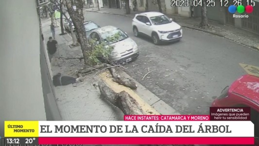 Falta de respuestas: una mujer resultó herida por la caída de otro árbol