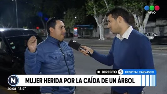 Cómo sigue la salud de la mujer a la que se le cayó un árbol encima