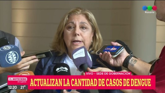 Se confirmaron más de 15 mil casos de dengue en Santa Fe