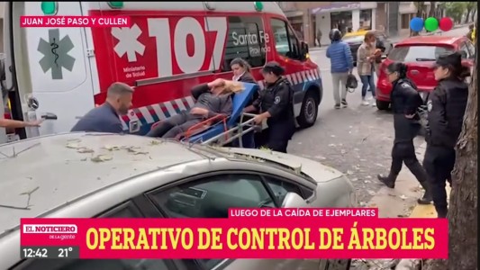 Tras los graves incidentes por árboles caídos, Javkin anunció que retirarán ejemplares secos