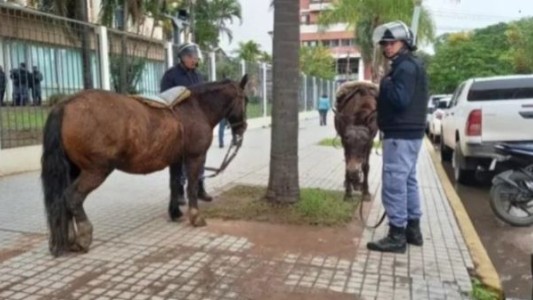 Insólito: un manifestante a caballo quiso entrar a la Casa de Gobierno de Chaco
