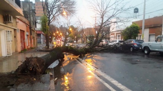 Por el fuerte temporal en Rosario hay calles anegas y árboles caídos