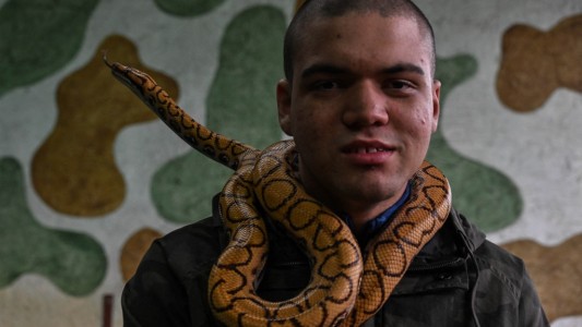 Cómo es la terapia con serpientes: "Dan sensación de placer y bienestar"