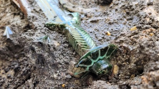 Hallaron una espada de bronce de más de 3000 años "que casi sigue brillando"