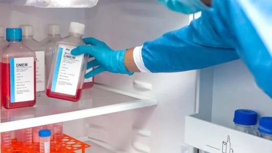 Un empleado de limpieza desenchufó un freezer y arruinó 20 años de investigación científica