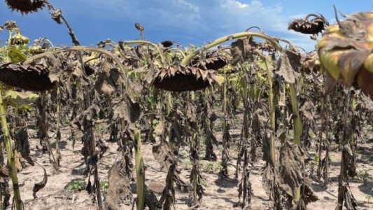 Advierten que la mitad de las economías regionales están en crisis o tienen signos de estarlo