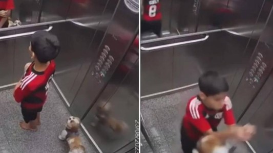 Dramático video: un niño de 11 años salvó a su perra de morir ahorcada en un ascensor