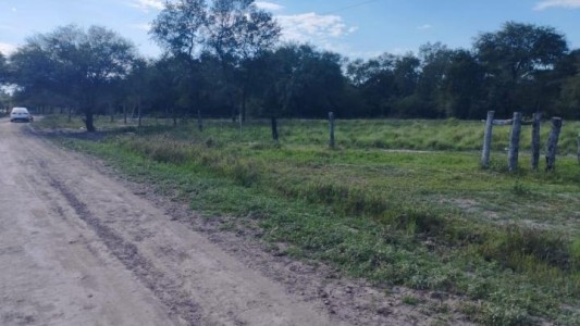 Asesinato y misterio en un campo de la región