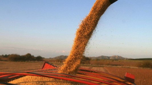 Dólar soja: en lo que va de septiembre se vendió un 88% más que en todo agosto