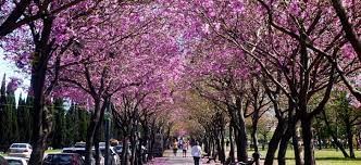 Rosario amanece con cielo despejado y humedad primaveral