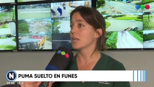 Alerta y patrullajes en Funes por la presencia de un puma suelto