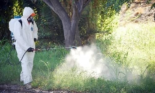 Operativos de fumigación y desmalezamiento en Oroño y el río