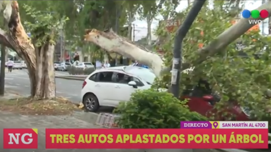 Un árbol aplastó tres autos y hubo heridos