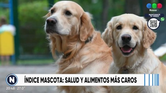 ¿Cuánto cuesta mantener una mascota?