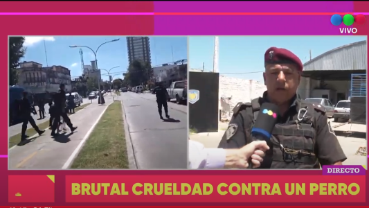 Atacó a un perro a mazazos