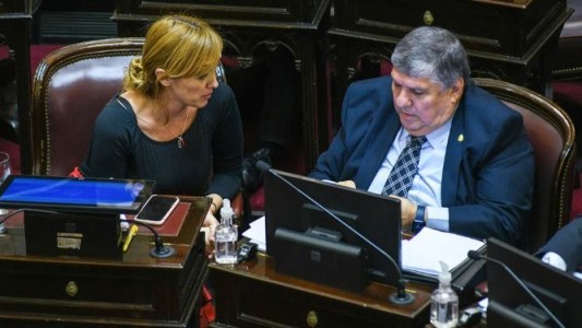 Senado: la oposición pidió una sesión para intentar rechazar el DNU de Milei (1)