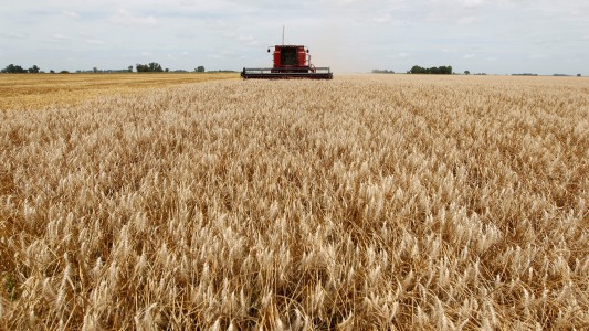 Desde el campo celebraron el anuncio de Caputo: "Es razonable, sabiendo la falta de consenso"