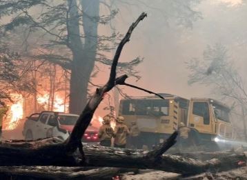 Ofrecen millonaria recompensa para obtener información sobre quién originó el incendio en el Parque Nacional Los Alerces