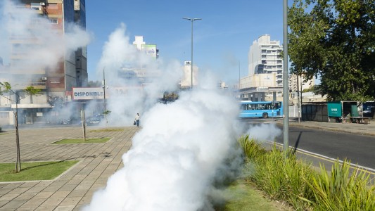 Rosario: Preocupan los casos de dengue en los barrios