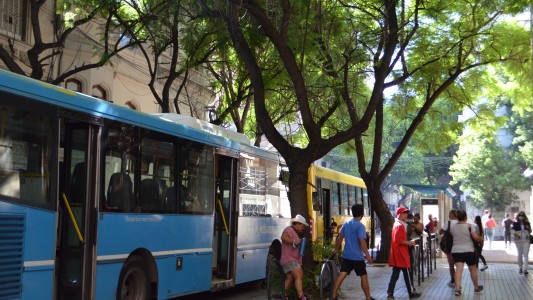 La Intendencia pide la emergencia en el Transporte para actualizar la tarifa