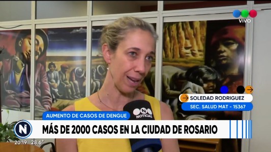 Dengue: más de 2 mil personas están transitando la enfermedad