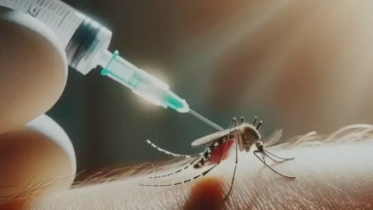 La vacuna contra el dengue cuesta más de $ 70 mil