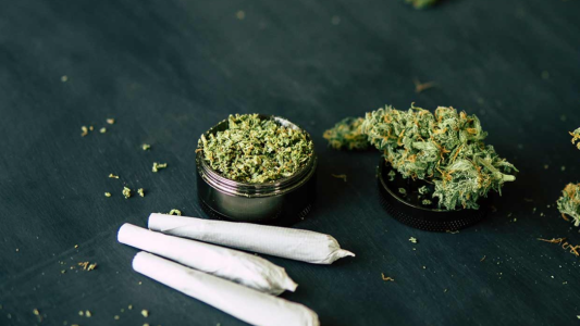 Alemania legalizó el cannabis recreativo