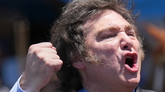 La respuesta de Milei a Torres: "Proceda y hágase cargo de las consecuencias en la Justicia"