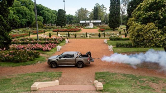 Fumigación contra los mosquitos en el parque Independencia