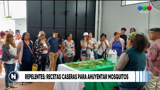 Repelentes de mosquitos naturales: Se realizan talleres para fabricarlos en casa