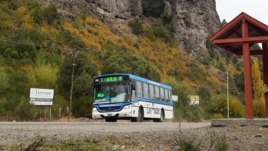 Tras la quita de subsidios, San Martín de los Andes se quedó sin transporte urbano