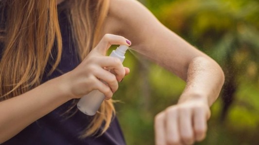 Dengue: la Secretaría de Salud Pública piden realizar consulta médica temprana ante signos de alarma