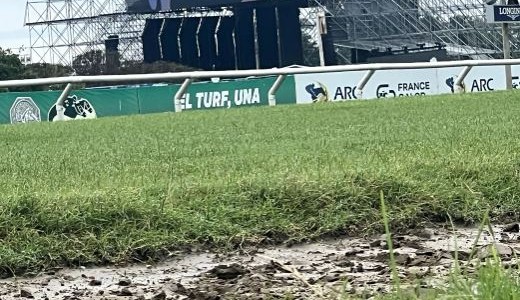 Las intensas lluvias y el pronóstico del tiempo inquietan a los que compraron tickets del Lollapalooza