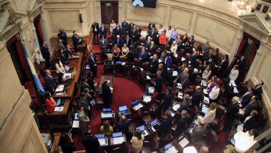 El Gobierno cargó contra la oposición tras el rechazo al DNU en el Senado