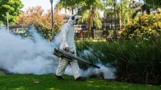 Dengue: continúan los operativos de fumigación