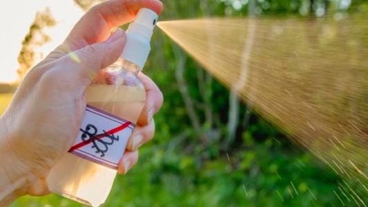 Dengue: crece la demanda de repelentes y los barata se agotan rápido