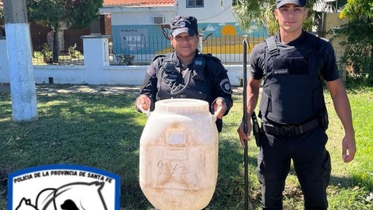 Santa Fe: hallaron tres víboras yarará en el patio de una escuela de Monte Vera