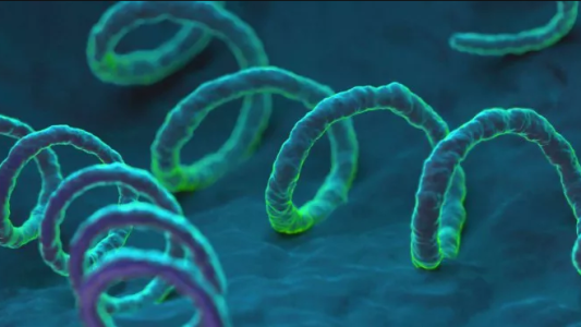 Preocupación por el aumento de casos de sífilis en Rosario