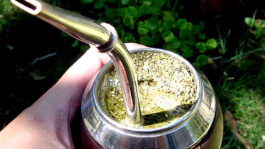 Yerba Mate: el sector apunta a que "están trayendo de otros países para extorsionar a productores"