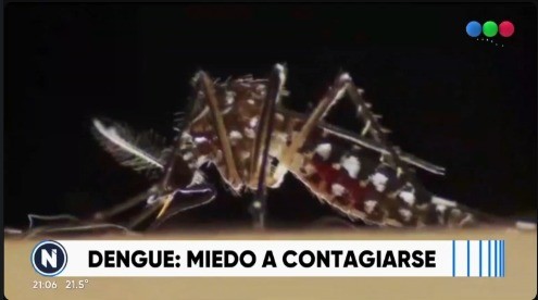 Dengue: Miedo a contagiarse