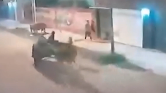 Video: salieron a robar con un carro tirado a caballo