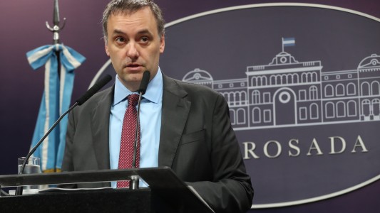 "Corre por su cuenta": el Gobierno se distanció de la opinión de Benegas Lynch sobre educación