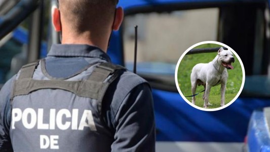 Córdoba: entró a robar a una casa y lo atacaron dos perros dogos