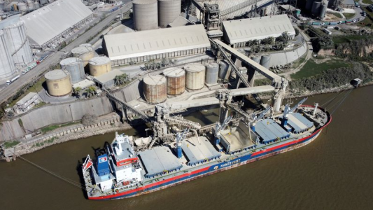 Proyecciones 2024: Exportaciones agropecuarias por debajo de los 30.000 millones de dólares