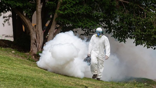 Continúan con los operativos de fumigación en espacios verdes