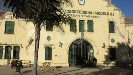 Cárcel de Coronda: Intentaron contrabandear drogas utilizando una paloma mensajera