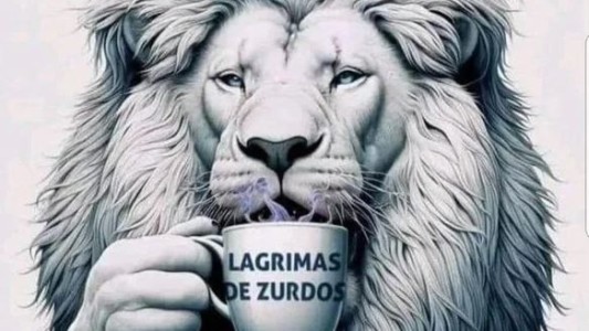 La desafiante reacción de Javier Milei a la marcha universitaria