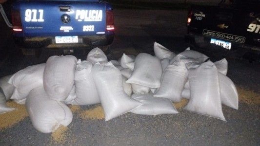 Robaron 1500 kilos de soja de un camión, hay tres detenidos