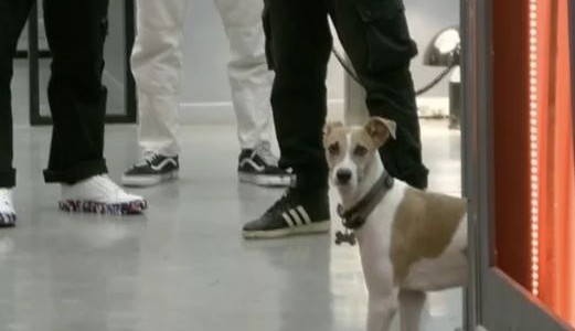 Gran Hermano: por qué Arturo deberá salir de la casa