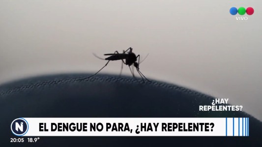 El dengue no para, ¿Hay repelente?